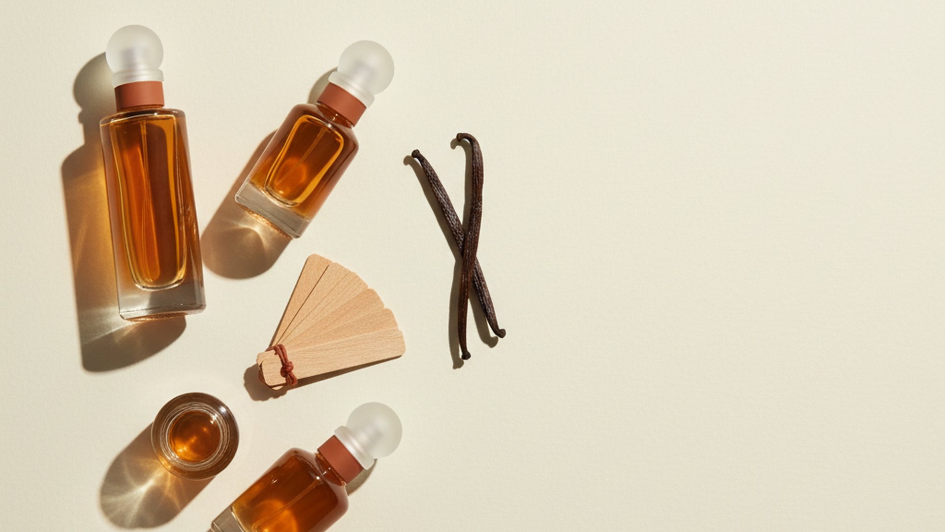 Best Perfumes Reddit Actually Loves in 2025 (I Read 847 Threads)